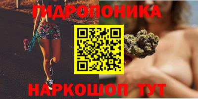 шишки Волжск