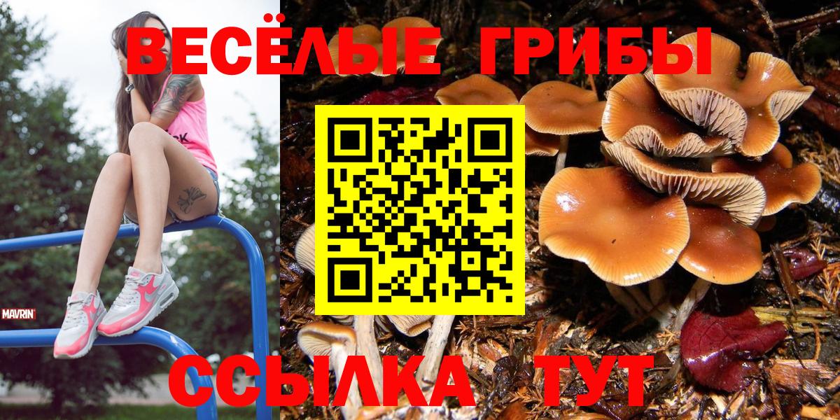 Домодедово  Псилоцибиновые грибы Cubensis  купить  сайты  Вход с VPN  Галлюциногенные грибы мицелий 